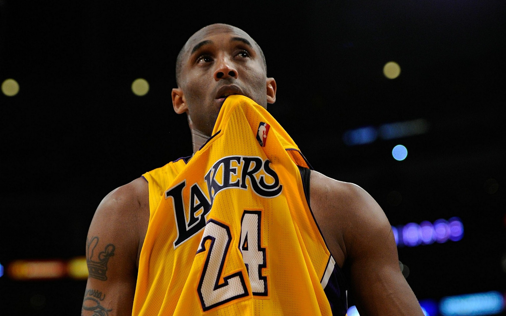 关键在于审 关键在于审